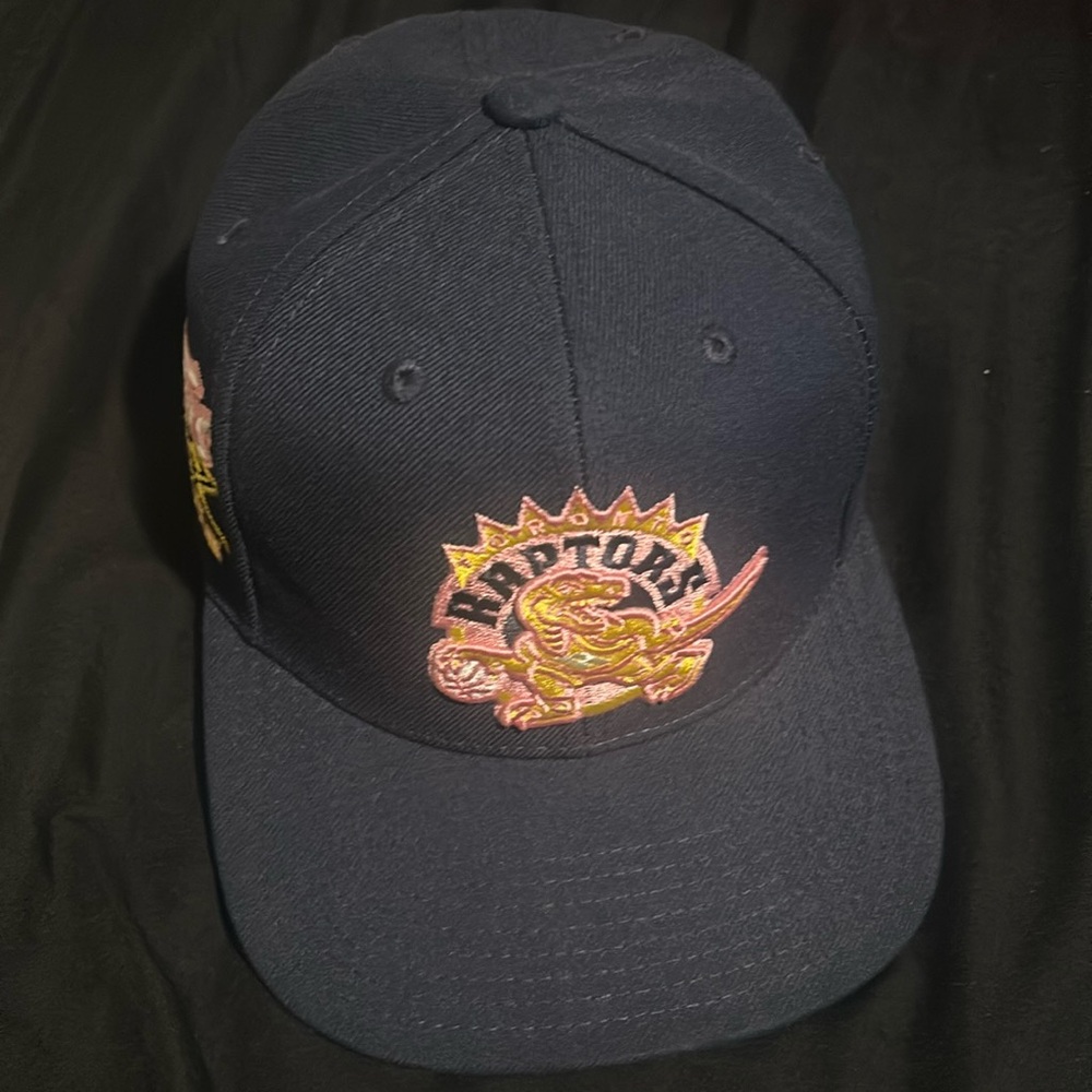 Toronto Raptors fitted hat